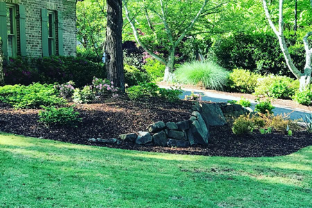 Landscaping Mistakes You Can Avoid