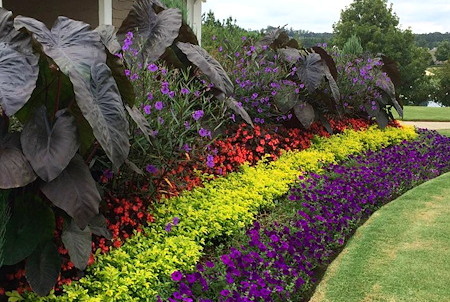 Top Landscaping Ideas for Spring in Buford, GA